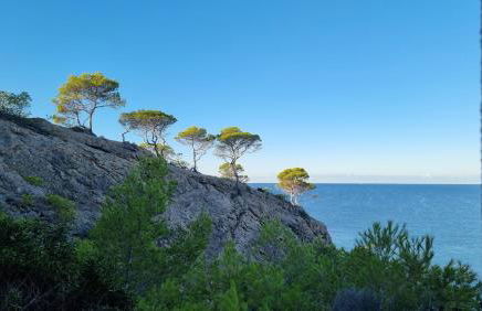 Hapimag Resort Paguera - Foto 18