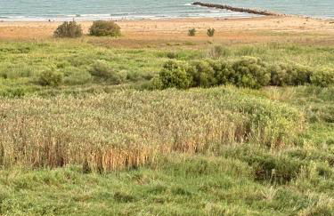 Farnals Playa Valencia - Photo 23