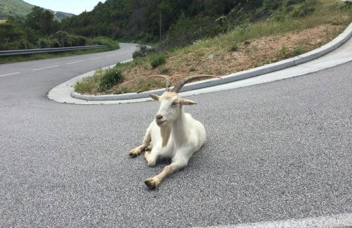 Léna - Maison, Terrasse vue mer, Clim - by TGB - Foto 34