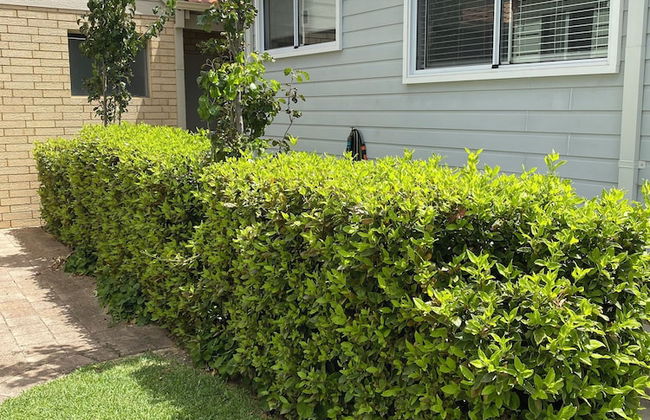 The Best Beach Cabin - Foto 35