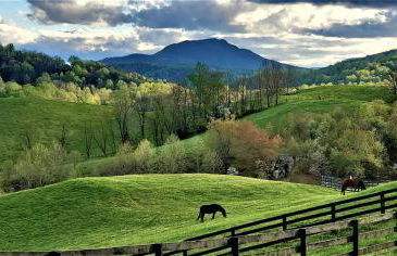 Historic Cabin near Luray Caverns Perfect for a Family Vacation in Virginia - Foto 16