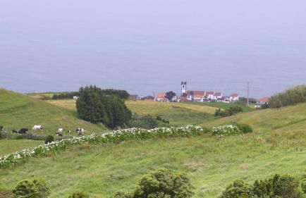 Resilience House - Photo 35