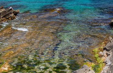 Ciuri Ciuri - Foto 38