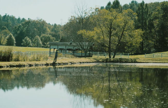 The Horse Shoe Farm - Foto 41