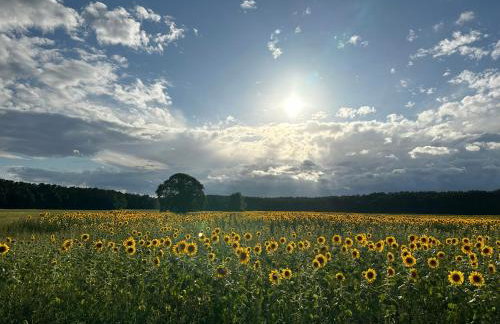 Urlaub auf dem Land - Foto 8