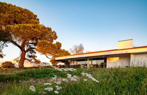 Villa do Pinheiro - Foto 5