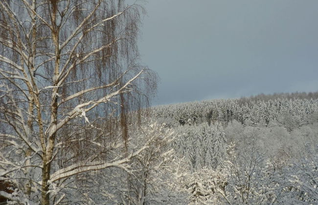 Charming House With Stunning View of the Bouillon Castle - Photo 28