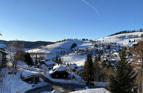Urlaub im Wanderparadies - Fewo Herzgrün mit traumhafter Aussicht und Sauna im Haus, E-Ladestation - Foto 45