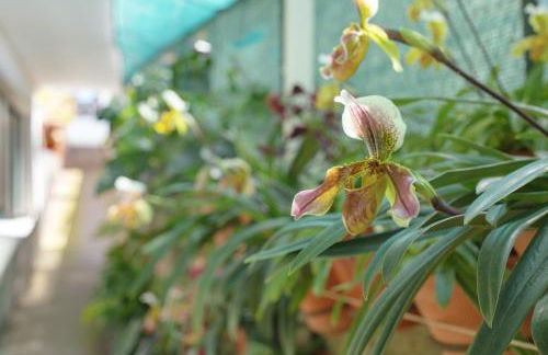 Levada Residence - Foto 20