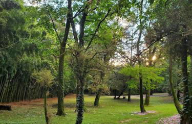 Dreamy Château for big groups and their pets - Foto 15