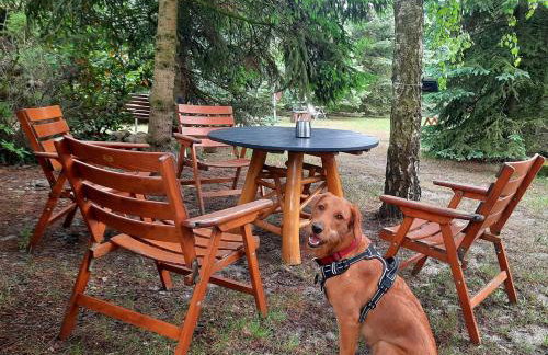 Ferienwohnung Taubenschlag - Foto 23