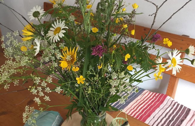 Apartments Majercak - Foto 41