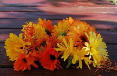 Rustic Holiday Home Miketa - Foto 60