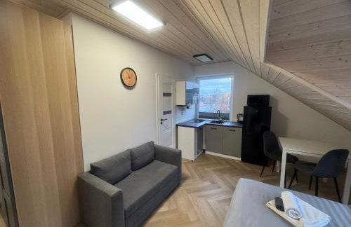 Przystanek Niesiołowice - noclegi na Kaszubach - Foto 11