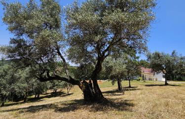 Casa Toupeira - Foto 45