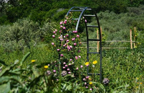 Casale Dionisia, Santa Maria di Castellabate - Foto 65