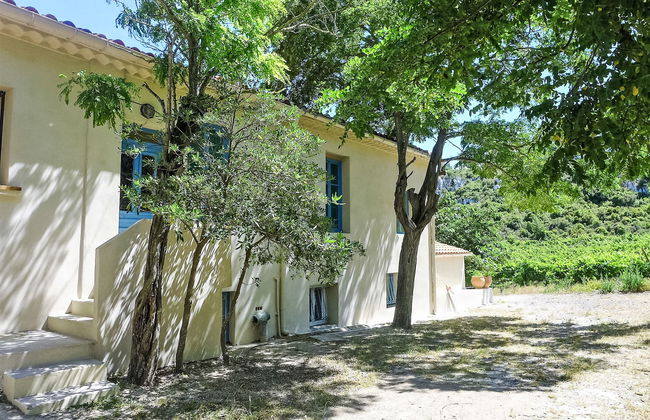 Les Vendanges - Foto 31