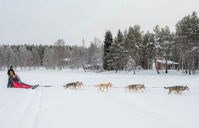 The Elegant Haistila - Foto 67