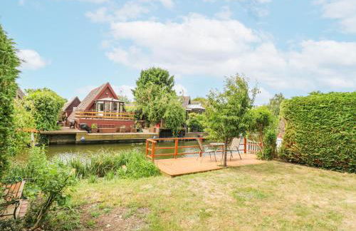 Kingfisher - Photo 35