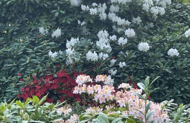 Zimmer in der Kastanienvilla - Foto 4