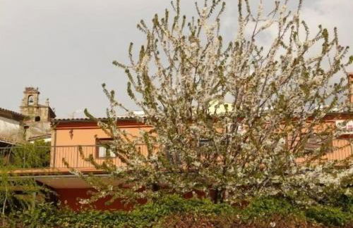 Apartamentos en sierra de gata ALMA - Foto 27