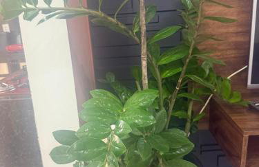 Conforto e Localização Cataratas - Aduanas - Foto 53