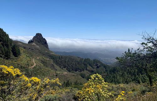 Villa Rosaura - Foto 65