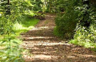 Peaceful Historic Villa with Hot Tub & Pool near Downtown Nashville, Tennessee - Photo 54