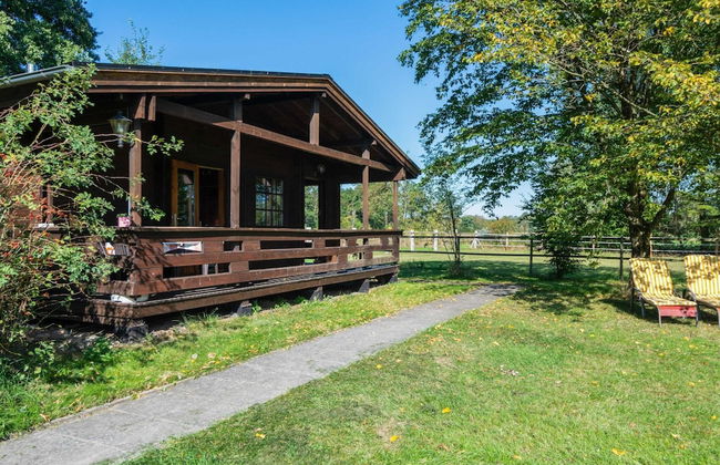 Blockhauser auf Reiterhof in Eschede - Foto 73