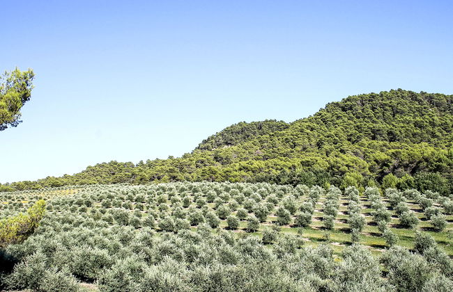 Domaine de Piegros - Foto 51