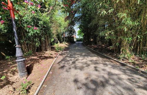 The New Forest Manor Apartment - Photo 8