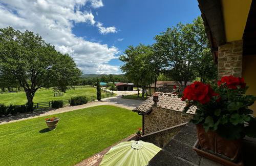 Agriturismo LeGi Toscana - Foto 77