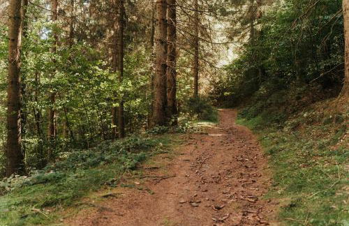 Villa Hoheneck - Foto 40