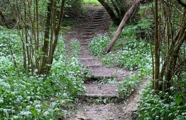 Quirky Barn Conversion Crowhurst Battle - Foto 23