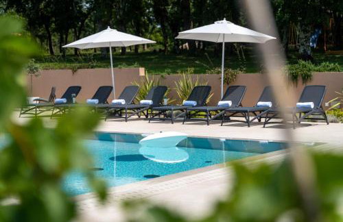 Vitis Apartment Istra - Foto 45