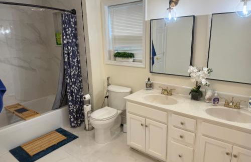 The Blue Lotus - Foto 14