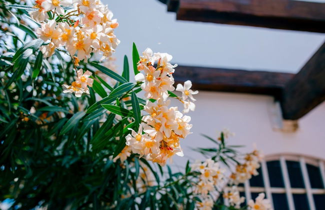 Villa Relax 3 by Kivoya - Foto 31