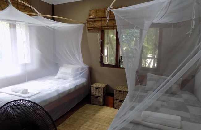 Log Cabin On And Overlooking a 9km Lagoon - Photo 3