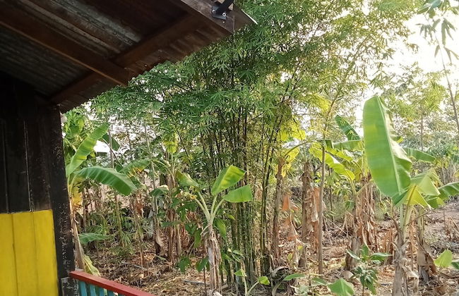 peaceland farmstay - Photo 46