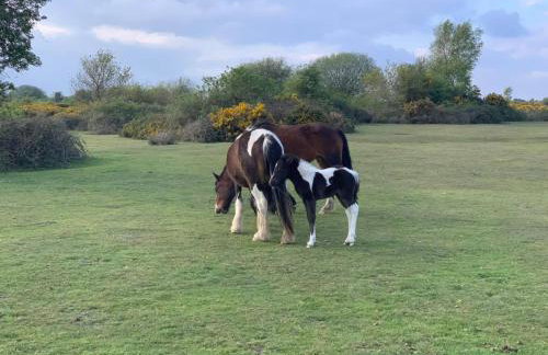 Heathfield Estate - Foto 48