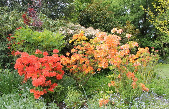 Silverstream Alpaca Farmstay and Tour - Foto 49