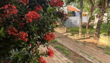 Casa aconchegante e espaçosa - Foto 4, Garden