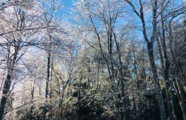 Catskills Cottage with Lake View Book Now - Foto 37