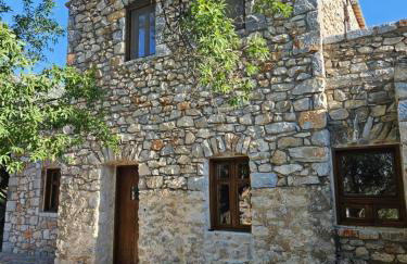 Studio Tsiliviani - Foto 24