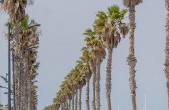 Alojamiento Náutico Junto a la Playa Malvarrosa - Photo 43