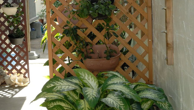 Yukuiru - Foto 2, Entrada interior