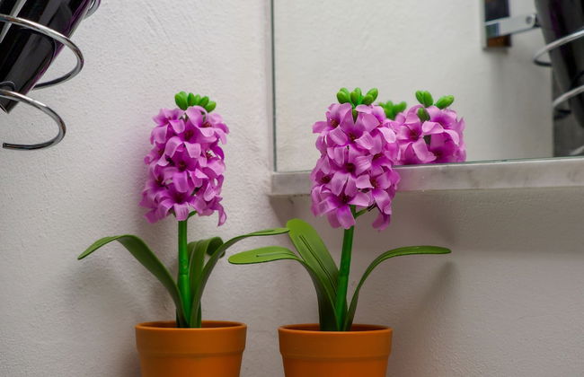 Carmelina Room - Foto 16