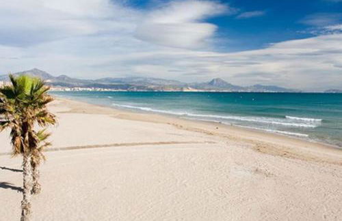 Beautiful apartment beach Playa San Juan - Photo 30