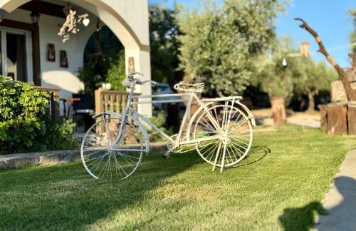 Koklas Studios - Foto 38