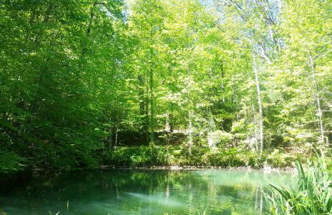 Lil' Log at Hearthstone Cabins and Camping - Pet Friendly - Photo 12